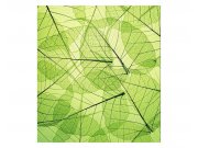 Vliesové fototapety na zeď Žilky listů | MS-3-0111 | 225x250 cm Fototapety vliesové