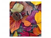 Vliesové fototapety na zeď Podzimní listí | MS-3-0112 | 225x250 cm