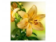 Vliesové fototapety na zeď Lilie | MS-3-0139 | 225x250 cm Fototapety vliesové