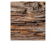 Vliesové fototapety na zeď Kůra stromu | MS-3-0159 | 225x250 cm Fototapety vliesové