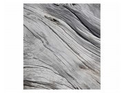 Vliesové fototapety na zeď Struktura stromu | MS-3-0160 | 225x250 cm Fototapety vliesové
