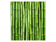 Vliesové fototapety na zeď Bambus | MS-3-0165 | 225x250 cm Fototapety vliesové