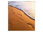 Vliesové fototapety na zeď Stopy na pláži | MS-3-0193 | 225x250 cm