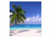 Vliesové fototapety na zeď Pláž s palmou | MS-3-0194 | 225x250 cm