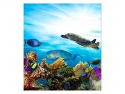 Vliesové fototapety na zeď Ryby v oceánu | MS-3-0216 | 225x250 cm