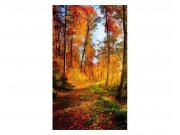 Vliesové fototapety na zeď Procházka lesem | MS-2-0065 | 150x250 cm Fototapety vliesové