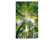 Vliesové fototapety na zeď Stromy v oblacích | MS-2-0104 | 150x250 cm Fototapety vliesové