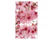Vliesové fototapety na zeď Květy jabloní | MS-2-0108 | 150x250 cm