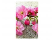 Vliesové fototapety na zeď Sakura | MS-2-0109 | 150x250 cm