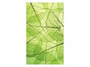 Vliesové fototapety na zeď Žilky listů | MS-2-0111 | 150x250 cm Fototapety vliesové