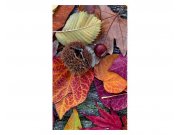 Vliesové fototapety na zeď Podzimní listí | MS-2-0112 | 150x250 cm Fototapety vliesové