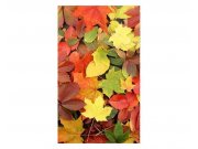 Vliesové fototapety na zeď Pestrobarevné listí | MS-2-0115 | 150x250 cm