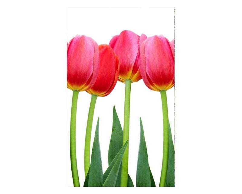 Vliesové fototapety na zeď Tulipány | MS-2-0126 | 150x250 cm - Fototapety vliesové