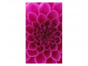 Vliesové fototapety na zeď Růžová jiřina | MS-2-0132 | 150x250 cm Fototapety vliesové