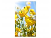 Vliesové fototapety na zeď Žluté květiny | MS-2-0134 | 150x250 cm Fototapety vliesové