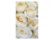 Vliesové fototapety na zeď Bílé růže | MS-2-0137 | 150x250 cm