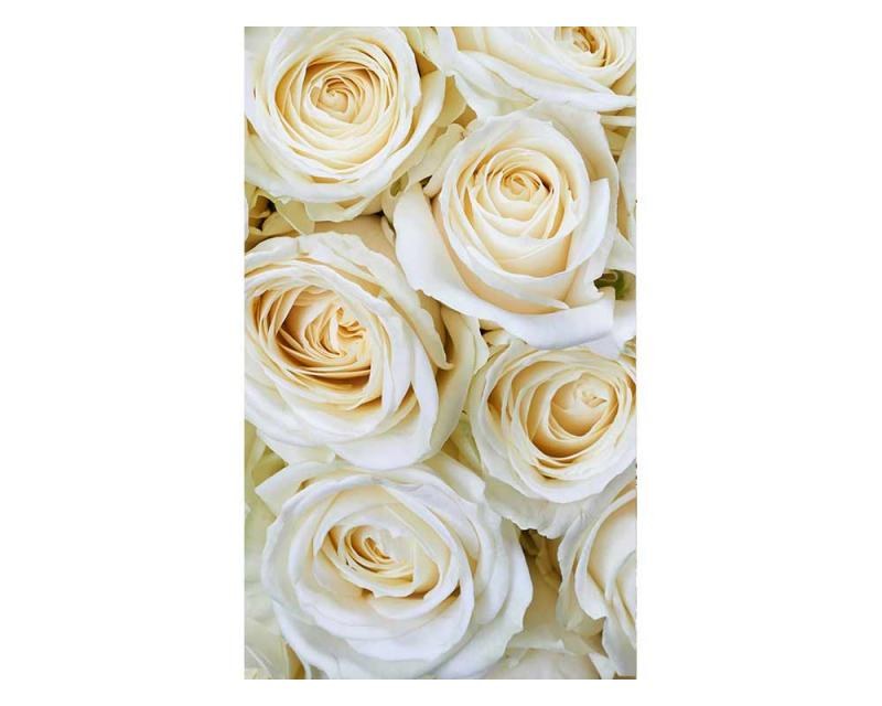 Vliesové fototapety na zeď Bílé růže | MS-2-0137 | 150x250 cm - Fototapety vliesové