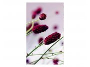 Vliesové fototapety na zeď Fialová květina | MS-2-0141 | 150x250 cm Fototapety vliesové