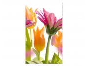Vliesové fototapety na zeď Jarní květiny | MS-2-0142 | 150x250 cm