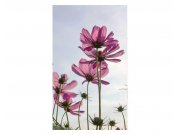 Vliesové fototapety na zeď Květiny | MS-2-0145 | 150x250 cm