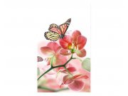 Vliesové fototapety na zeď Motýli a orchideje | MS-2-0146 | 150x250 cm