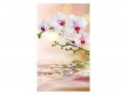 Vliesové fototapety na zeď Bílá orchidej | MS-2-0147 | 150x250 cm