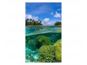 Vliesové fototapety na zeď Korálový útes | MS-2-0200 | 150x250 cm Fototapety vliesové