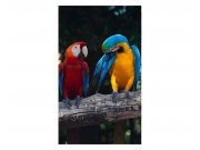 Vliesové fototapety na zeď Barevní papoušci Ara | MS-2-0223 | 150x250 cm Fototapety vliesové