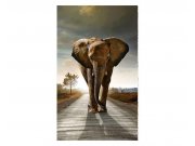 Vliesové fototapety na zeď Kráčející slon | MS-2-0225 | 150x250 cm