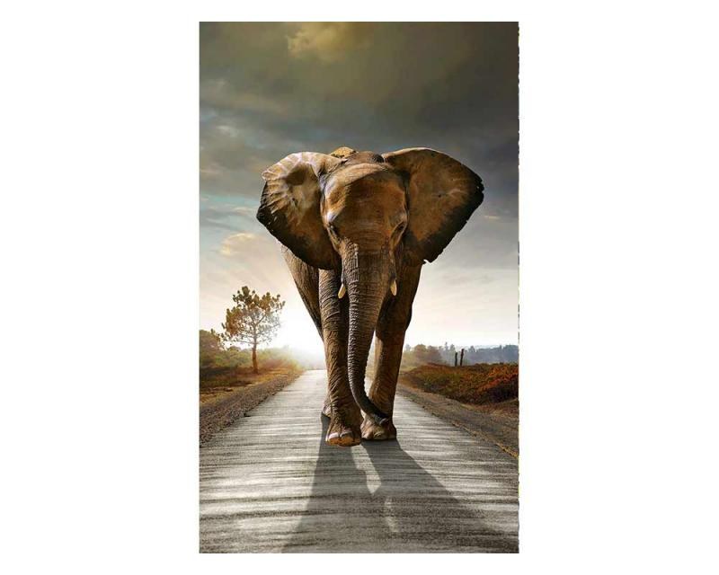 Vliesové fototapety na zeď Kráčející slon | MS-2-0225 | 150x250 cm