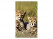 Vliesové fototapety na zeď Gepardi | MS-2-0229 | 150x250 cm