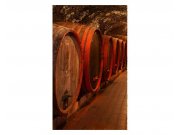 Vliesové fototapety na zeď Sudy s vínem | MS-2-0247 | 150x250 cm
