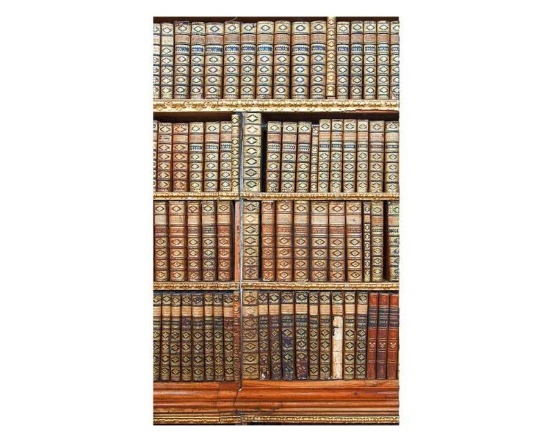 Vliesové fototapety na zeď Knihovna | MS-2-0263 | 150x250 cm