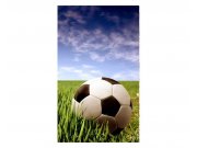 Vliesové fototapety na zeď Fotbalový míč | MS-2-0305 | 150x250 cm Fototapety vliesové
