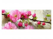 Panoramatické vliesové fototapety na zeď Sakura | MP-2-0109 | 375x150 cm Fototapety vliesové