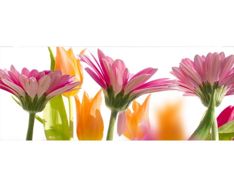 Panoramatické vliesové fototapety na zeď Jarní květiny | MP-2-0142 | 375x150 cm - Fototapety vliesové