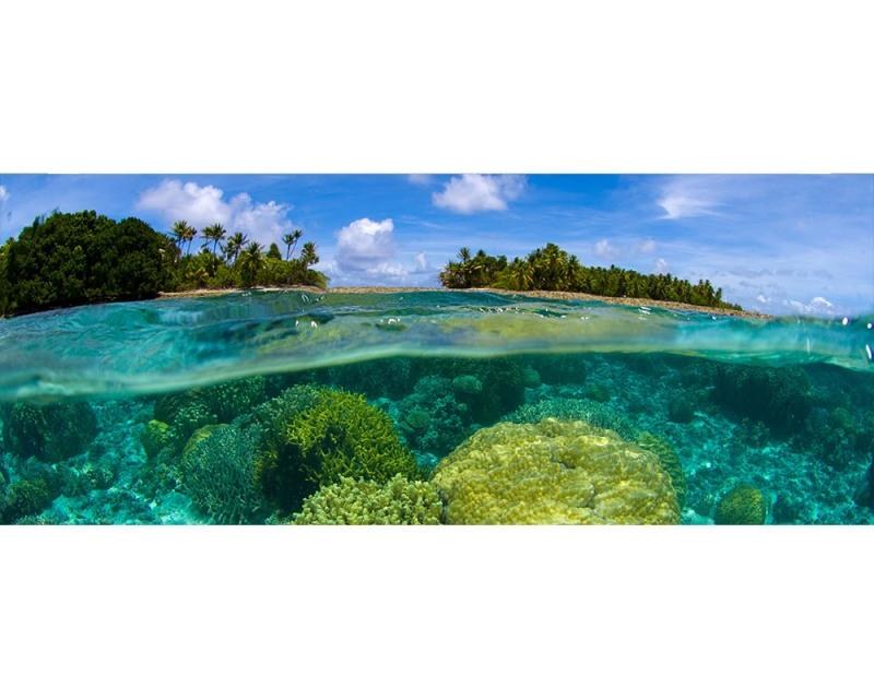 Panoramatické vliesové fototapety na zeď Korálový útes | MP-2-0200 | 375x150 cm - Fototapety vliesové