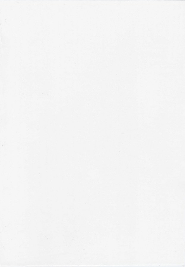 Samolepící fólie na dveře Bílé dřevo Memphis 99-6275 | 1 m x 90 cm - Samolepící folie na dveře