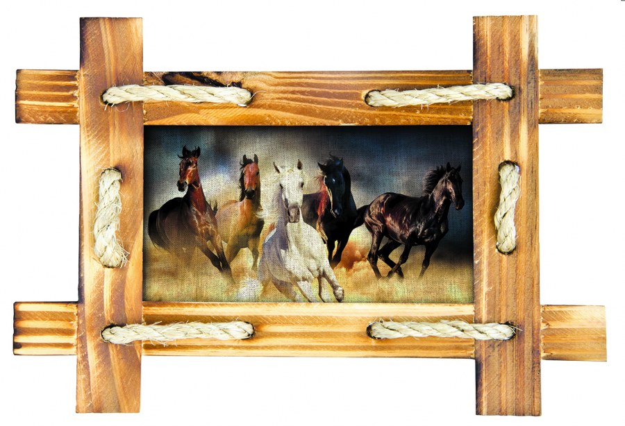 Samolepicí dekorace Koně v rámu SM-3432, rozměry 42,5 x 65 cm - Samolepící dekorace na zeď
