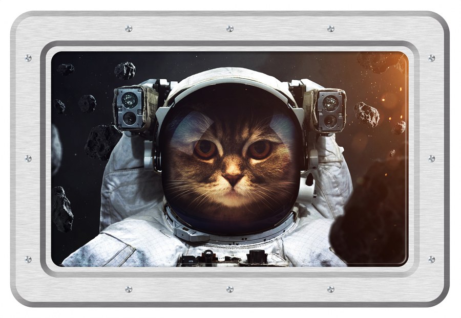 Samolepicí dekorace Kočka kosmonaut SM-3443, rozměry 42,5 x 65 cm - Samolepící dekorace na zeď