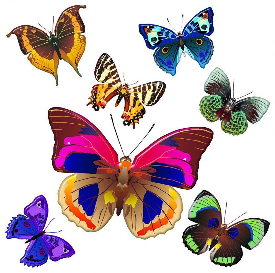 Samolepicí dekorace Barevní motýli SS-3854, 30x30 cm - Samolepící dekorace na zeď