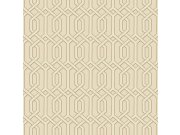 Luxusní vliesová tapeta Beaux Arts 2 BA220014 | 0,53 x 10 m | Lepidlo zdarma Tapety Vavex - Tapety Vavex 2021