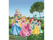 Fototapeta vliesová AG Princezny na louce FTDNXL-5112 | 180x202 cm Fototapety pro děti