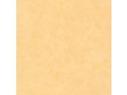 Vliesová tapeta Žlutá betonová stěrka 100222508 | Lepidlo zdarma