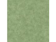 Vliesová tapeta Zelená betonová stěrka 100227560 | Lepidlo zdarma Tapety Caselio - Tapety Patine