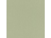 Zelená strukturovaná vliesová tapeta Aldora III 423938 | Lepidlo zdarma Tapety Rasch - Tapety Poetry