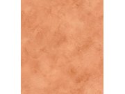 Vliesová tapeta oranžová betonová stěrka Aldora III 417012 | Lepidlo zdarma Tapety Rasch - Tapety Finca