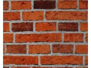 Papírová tapeta na zeď Dekora Natur 7798-16