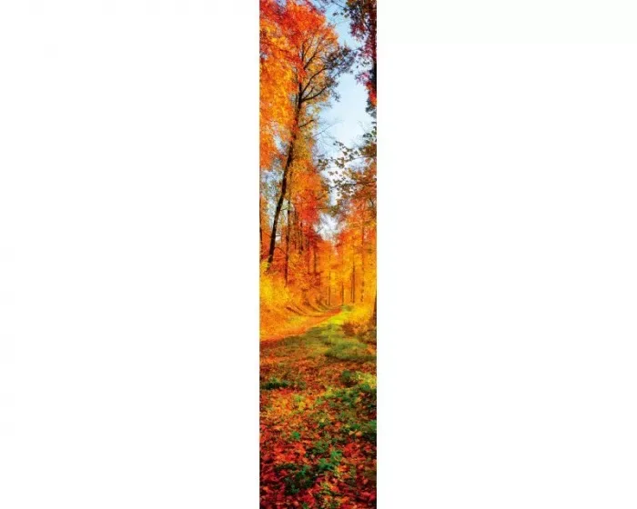 DS-005 Samolepící tapeta SLUNEČNÝ LES - samolepící dekorační pás| 60 x 260 cm | Lepidlo zdarma