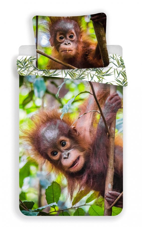 Povlečení fototisk Orangutan 02 140x200, 70x90 cm - Fototisk povlečení